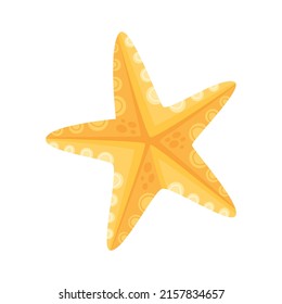 yellow starfish sealife animal icon