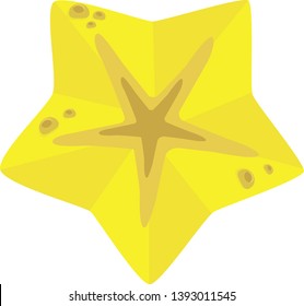 yellow starfish, star of the sea