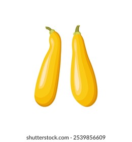 Yellow straightneck squash isolated in white