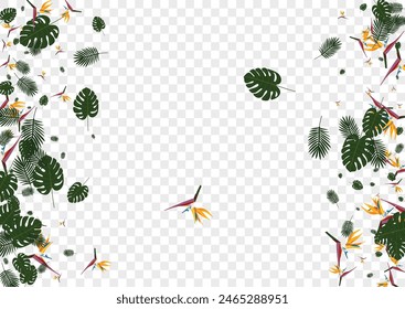 Vector transparente de fondo amarillo de Strelitzia. Árbol patrón de Miami. Naranja filodendrón. Textura Botánica. Tarjeta rosa realista.