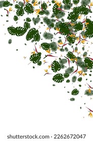 Yellow Strelitzia Background White Vector. Philodendron Miami Texture. Red Leaf. Style Design. Light Green Print Illustration.