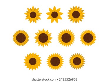 Conjunto de elementos de flor de sol amarillo