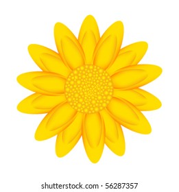 Yellow sunflower