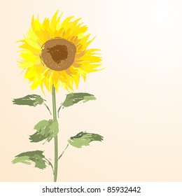 yellow Sunflower