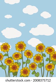 Yellow sunflower background.Eps 10 vector.