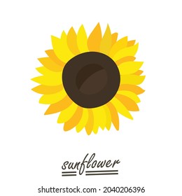 Yellow sunflower background.Eps 10 vector.