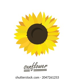 Yellow sunflower background.Eps 10 vector.