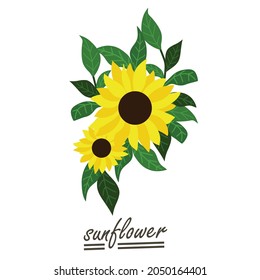 Yellow sunflower background.Eps 10 vector.