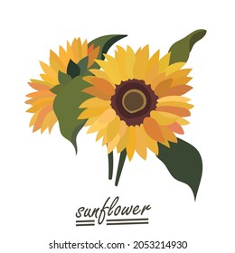 Yellow sunflower background.Eps 10 vector.