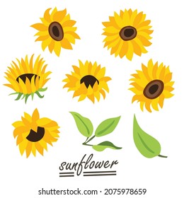 Yellow sunflower background.Eps 10 vector.