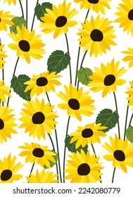 Yellow sunflower background.Eps 10 vector.