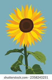 Yellow sunflower background.Eps 10 vector.