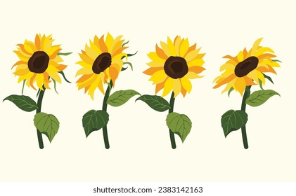 Fondo de girasol amarillo.Eps 10 vector.