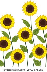 Yellow sunflower background.Eps 10 vector.