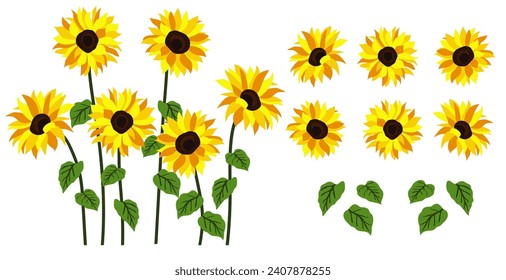 Fondo de girasol amarillo.Eps 10 vector.