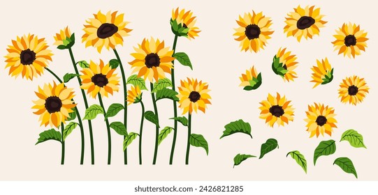 Yellow sunflower background.Eps 10 vector.