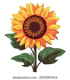 Yellow sunflower blossom design over white