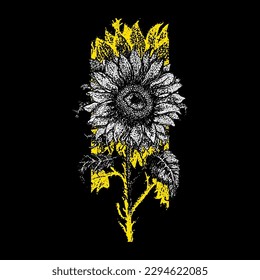 Yellow Sunflower Dotwork. Vector Illustration of Hand drawn Flower. Symbol of Ukraine. Natural Plant with Leaf. Tattoo Sketch.
