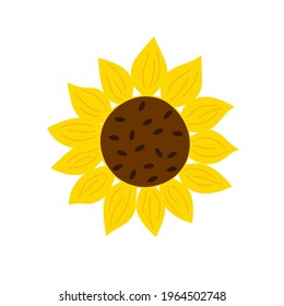 Yellow sunflower flat style simple vector hand drawn floral illustration, summer field agricultural plant, flower head in bloom for greeting card, wedding invitations, holiday design, poster, banner