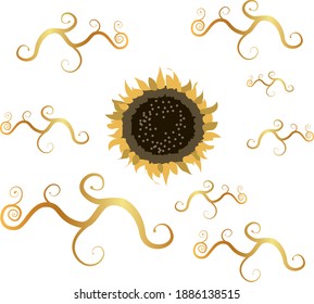 yellow sunflower flower and golden curls around