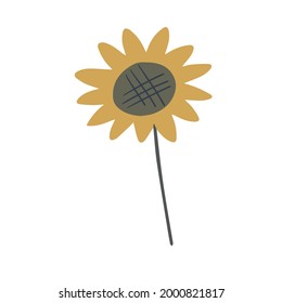 A yellow sunflower flower on a twig for decorating postcards.