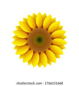 Yellow sunflower flower on a white background, design element, vector icon.