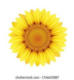 Yellow sunflower flower on a white background, design element, vector icon.