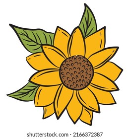 Yellow sunflower flower on a white background, design element