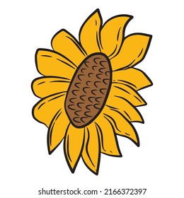 Yellow sunflower flower on a white background, design element