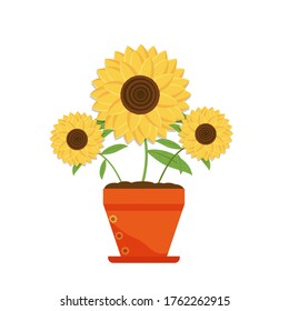 Gelbe Sonnenblume in der Vektorgrafik der Blume, natürliche Flora auf weißem Hintergrund. Einzeln Sonnenblume auf weißem hellem Hintergrund, Sommer hell. Dekorative Designelemente. Flachstil