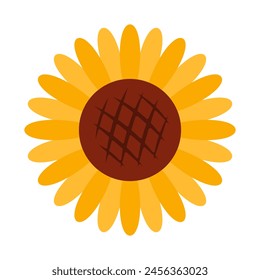 Yellow sunflower in full bloom. Vector botanical clipart in flat style. Illustration in cottage core isolated on white background. Perfect for cards, logo, decorations, spring and summer designs.