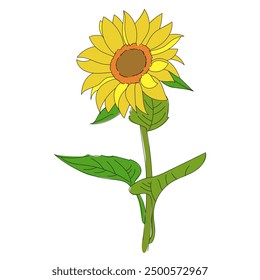 Yellow sunflower illustration design on white background