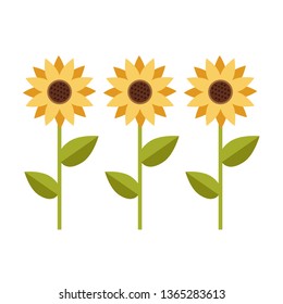 Yellow sunflower isolated flat graphic design illustration