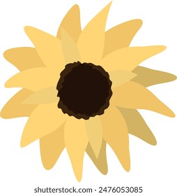 Yellow sunflower on isolated white background. Watercolor botanical illustration, hand drawing, boho design