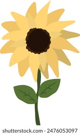 Yellow sunflower on isolated white background. Watercolor botanical illustration, hand drawing, boho design