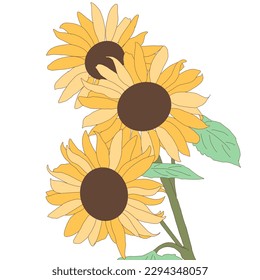 Yellow sunflower picture illustration Illustration of a yellow sunflower facing up. Sunflowers in pastel colors