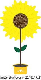 Yellow sunflower in a plant pot vector 