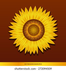 Yellow sunflower realistic vector labels for sunflower oil