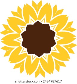 Yellow sunflower vector illustration. Sunflower drawing