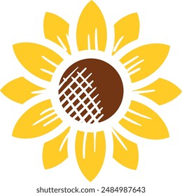 Yellow sunflower vector illustration. Sunflower drawing