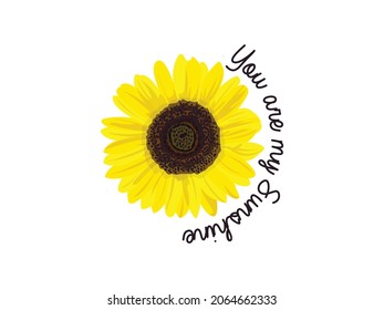 Ilustración del vector girasol amarillo. Girasol aislado en fondo blanco.