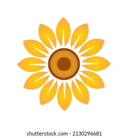 Yellow sunflower vector isolated on white background. Blooming summer flowers in gradient shades.