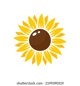 Yellow sunflowers bloom in spring. for decorating welcome sign
