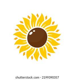 Yellow sunflowers bloom in spring. for decorating welcome sign
