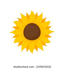 Gelbe Sonnenblumen blühen im Frühling. für Dekorationszeichen