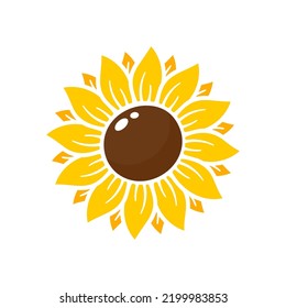 Yellow sunflowers bloom in spring. for decorating welcome sign