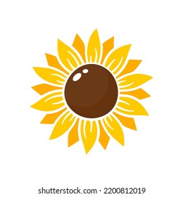 Yellow sunflowers bloom in spring. for decorating welcome sign
