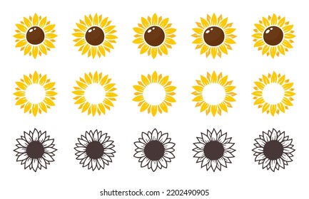 Yellow sunflowers bloom in spring. for decorating welcome sign