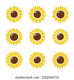 Yellow sunflowers bloom in spring. for decorating welcome sign