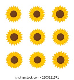 Yellow sunflowers bloom in spring. for decorating welcome sign